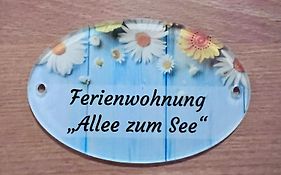 Allee zum See